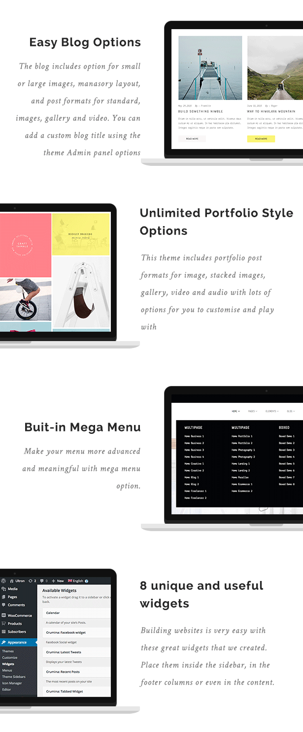 Easy Blog Options, Ultimites Portfolio Style Options, But-in Mega Menu, 8 Unique and Useful Widgets