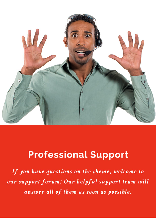 Professional Support